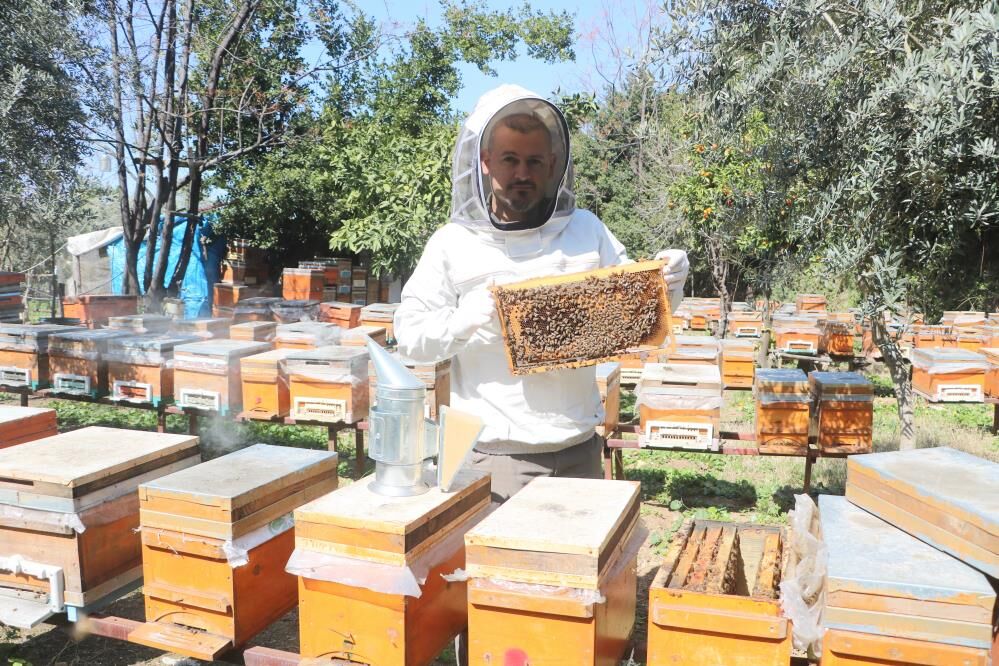 Bahar çiçekleri bu sene erken açtı