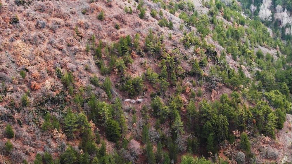 Sürekli doğada besliyoruz bunları