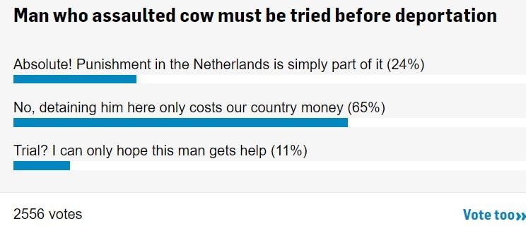 Hollanda medyasının anketi gündem oldu!