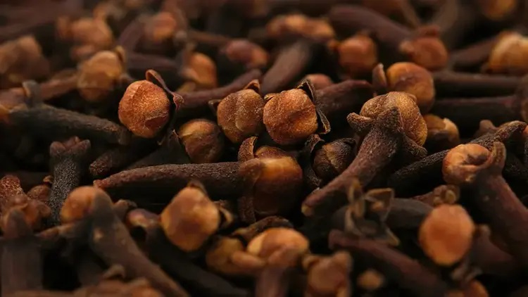 Karanfil565