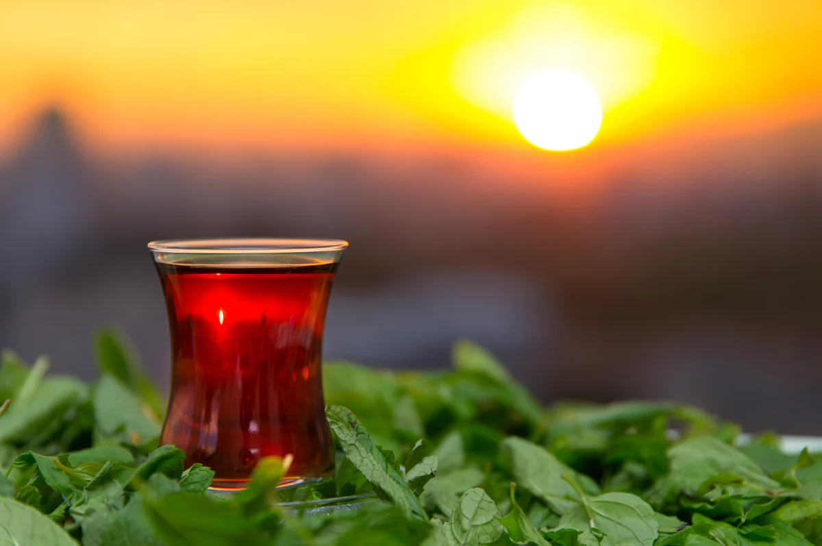 DKİB Yönetim Kurulu Başkanı Saffet Kalyoncu, yaptığı açıklamada, projelerin Türk çayı ve somonunun uluslararası alanda daha fazla tanıtılması ve pazar payının artırılması amacını taşıdığını vurguladı.