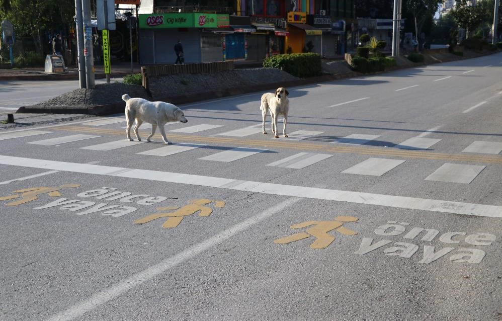 adana sokakları