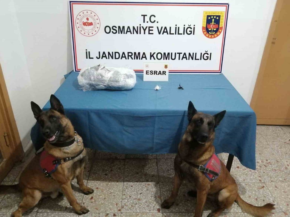Jandarma Komutanlığı ekipleri tarafından yapılan uyuşturucu operasyonu