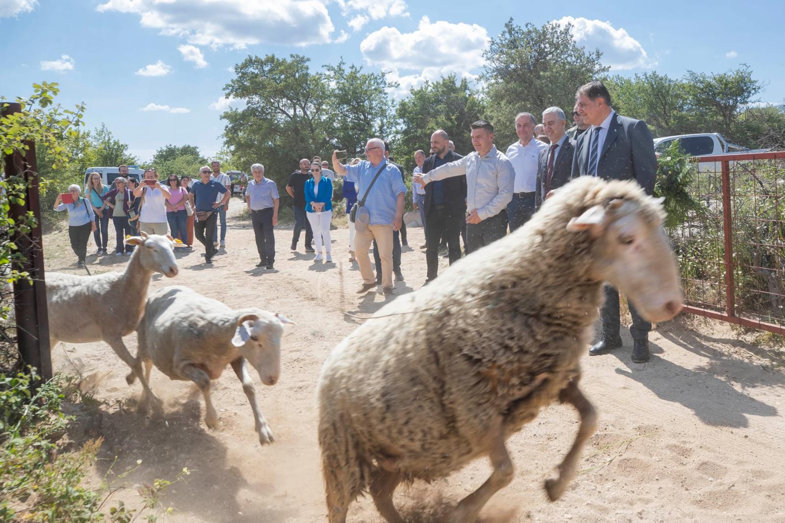 Başkan Tugay meranın kapısını açtı