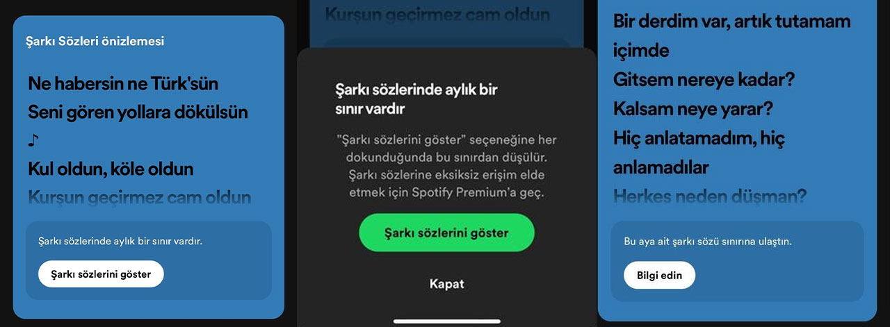 'Şarkı sözlerini göster' butonu