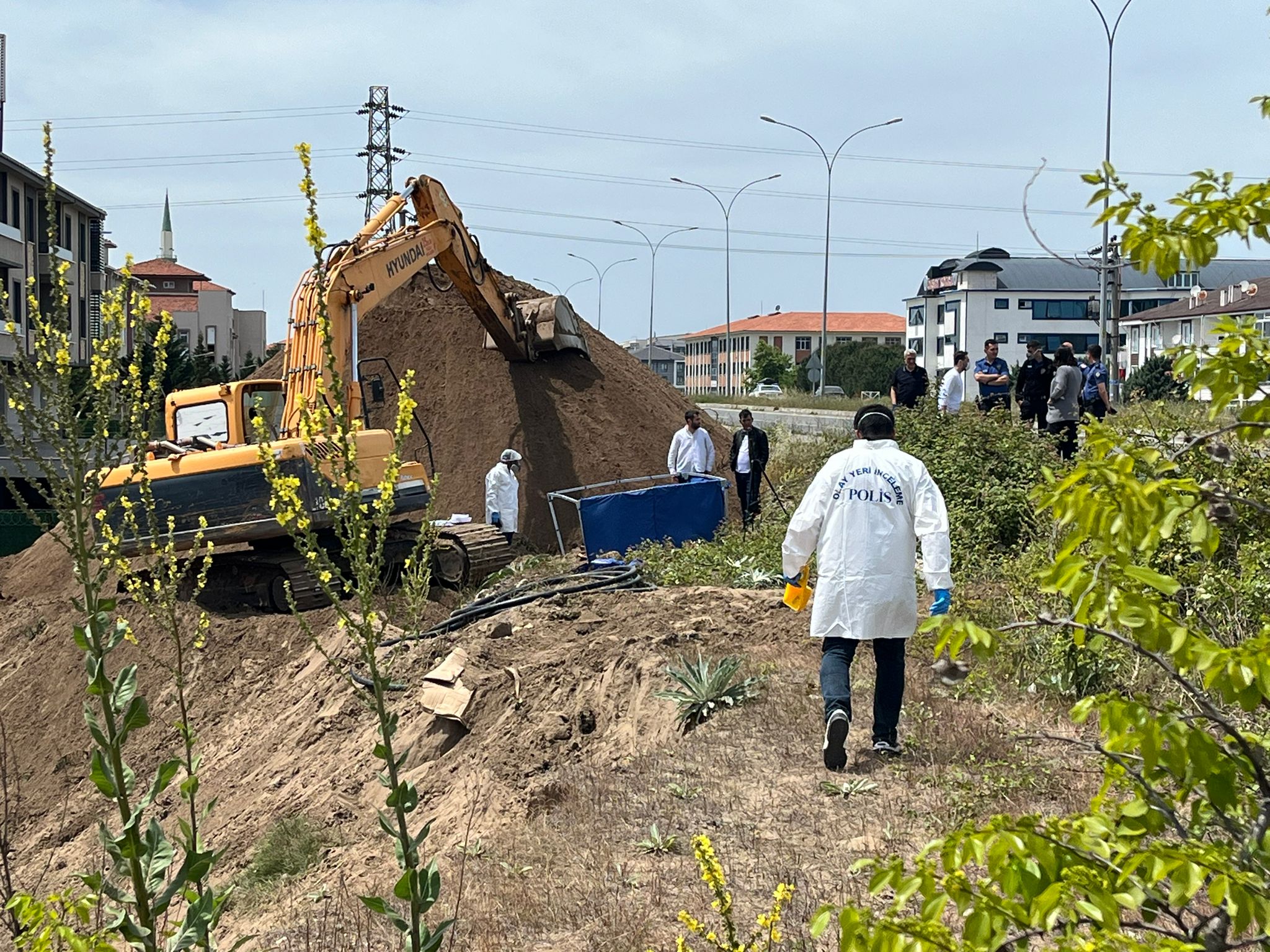 Sakarya'da korkunç keşif: El ve ayakları bağlı ceset toprağa gömülmüş halde bulundu