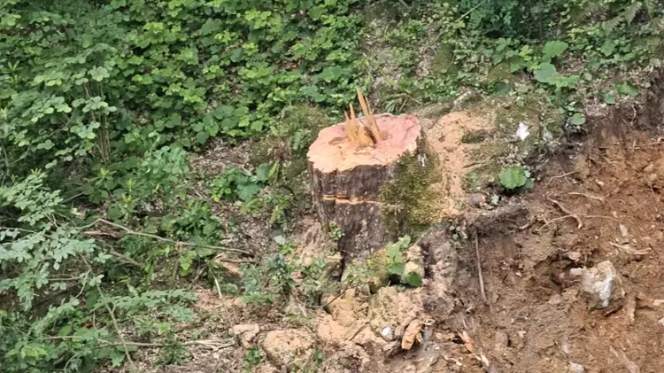 Bu olay, doğamızı korumak için yetkililerin ve tüm vatandaşların ne kadar duyarlı olması gerektiğini bir kez daha gözler önüne seriyor. 