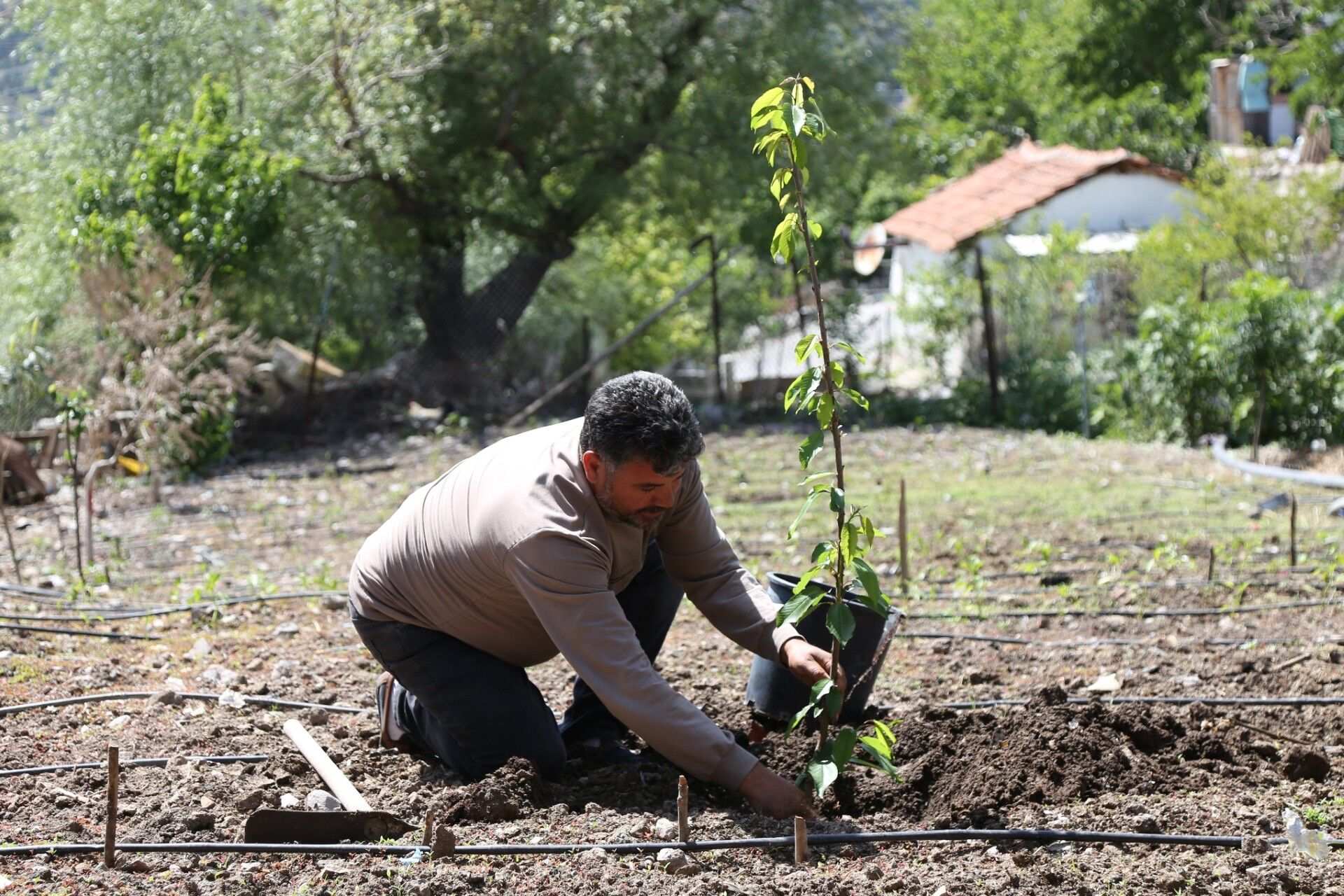 9A9Bda581061A47A96551F36Dbf9F5081714890804