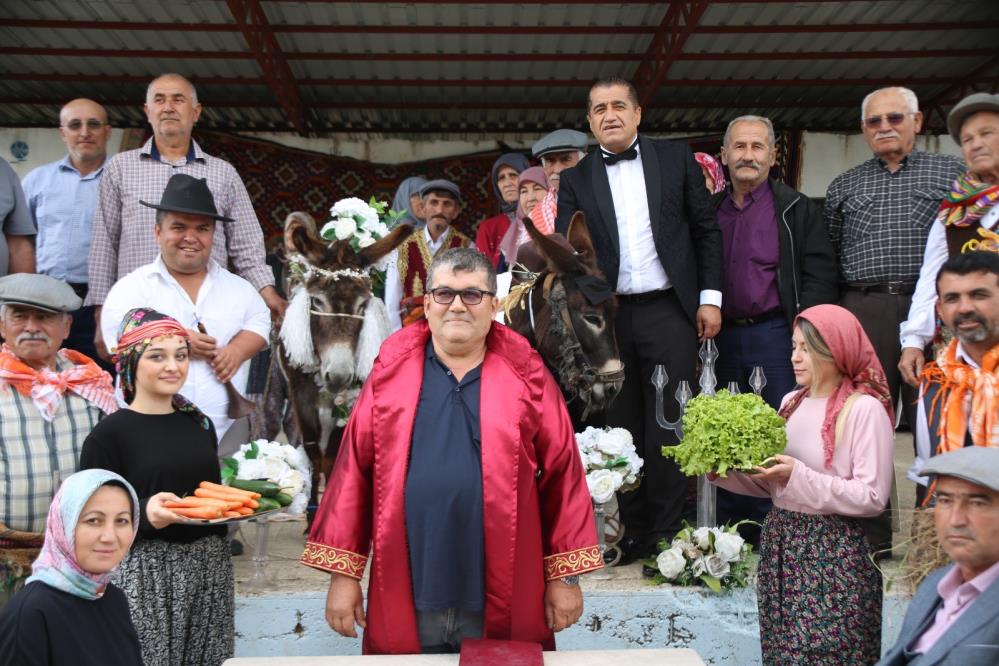 Antalya'da iki eşek evlendi geline beşibiyerde takıldı!