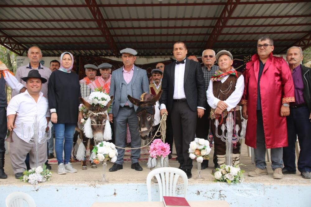 Antalya'da iki eşek evlendi geline beşibiyerde takıldı!