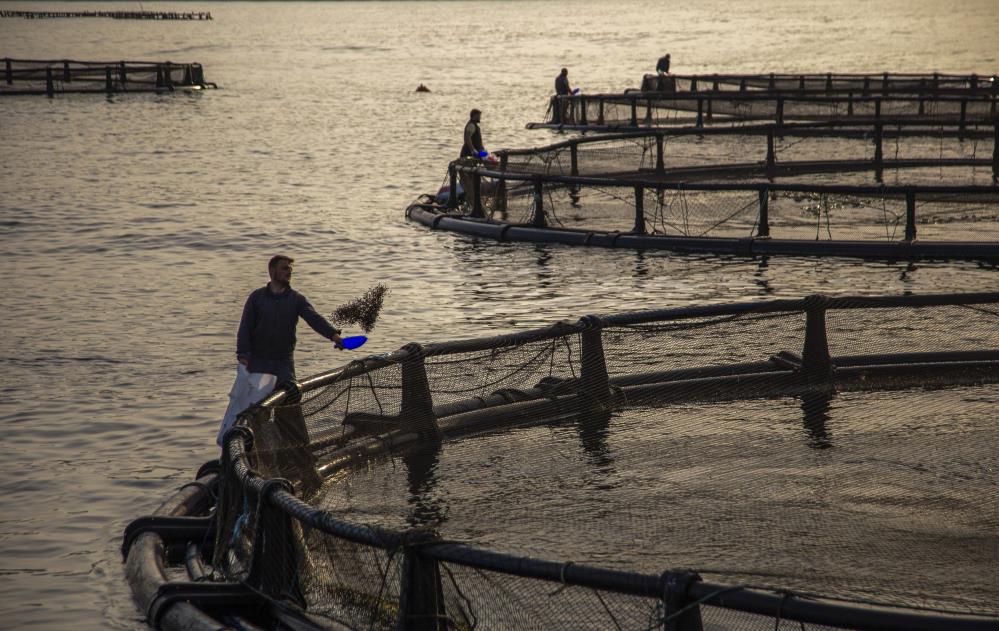 TURQUALITY ve UR-GE Projeleri pazarlamaya itici güç