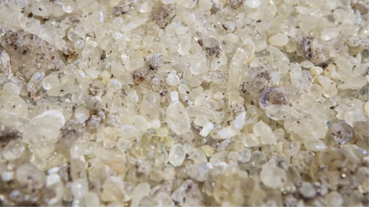 Çeşme Damla Sakızı Coğrafi Işaret