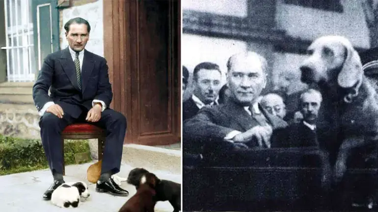 Atatürk hayvan severliğiyle de övgü toplayan bir liderdi.