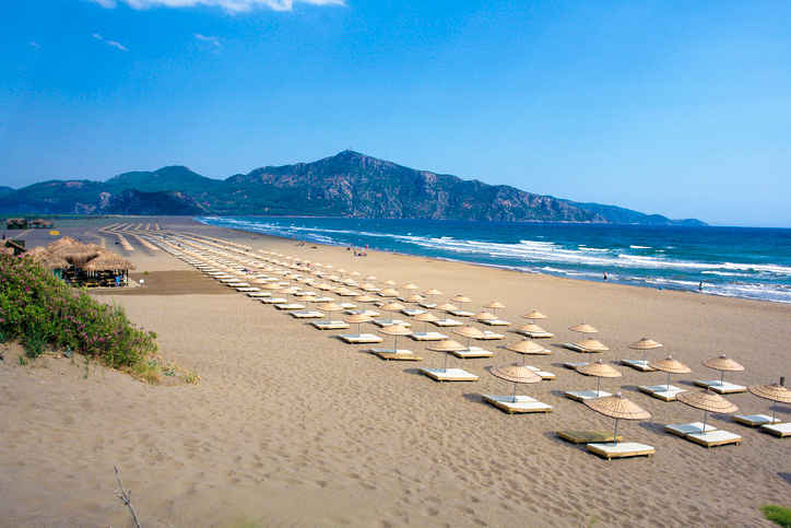 İztuzu Plajı'na giriş ücretli mi?