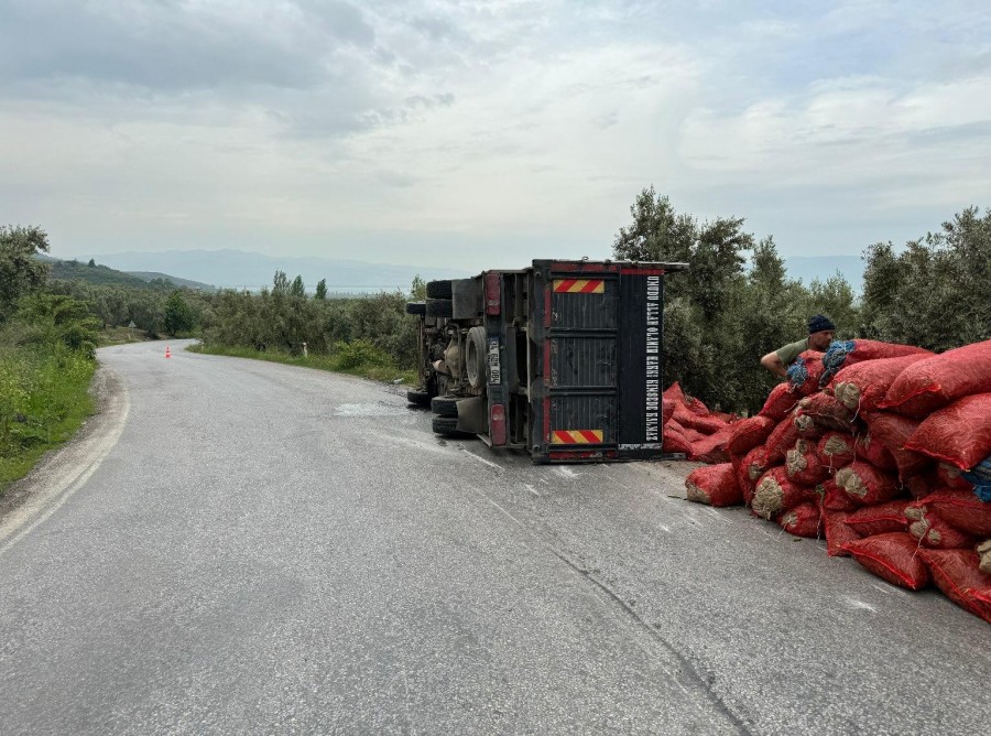 Kazanın etkisiyle devrilen kamyon kasasında bulunan çok sayıda çuval sebze, yol kenarındaki zeytin tarlasına saçıldı