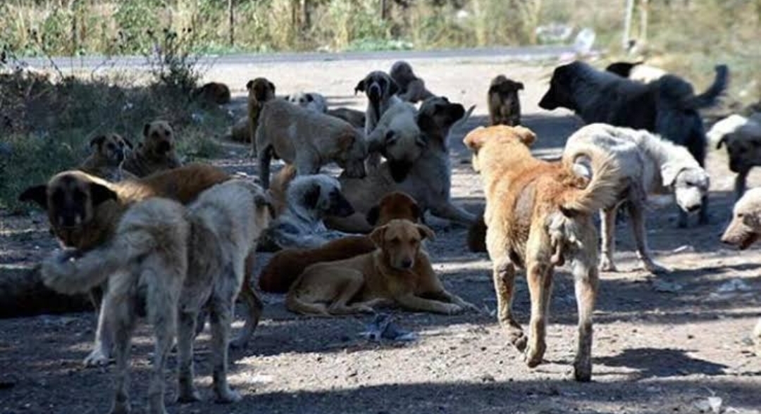 Screenshot 2024 05 28 14 40 28 686 Edit Com.miui.gallery