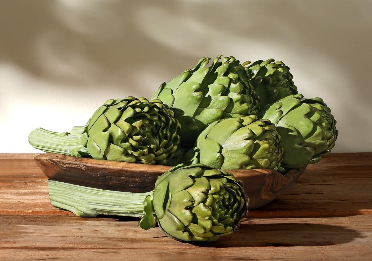 Taze Enginar 6 F3B 4B