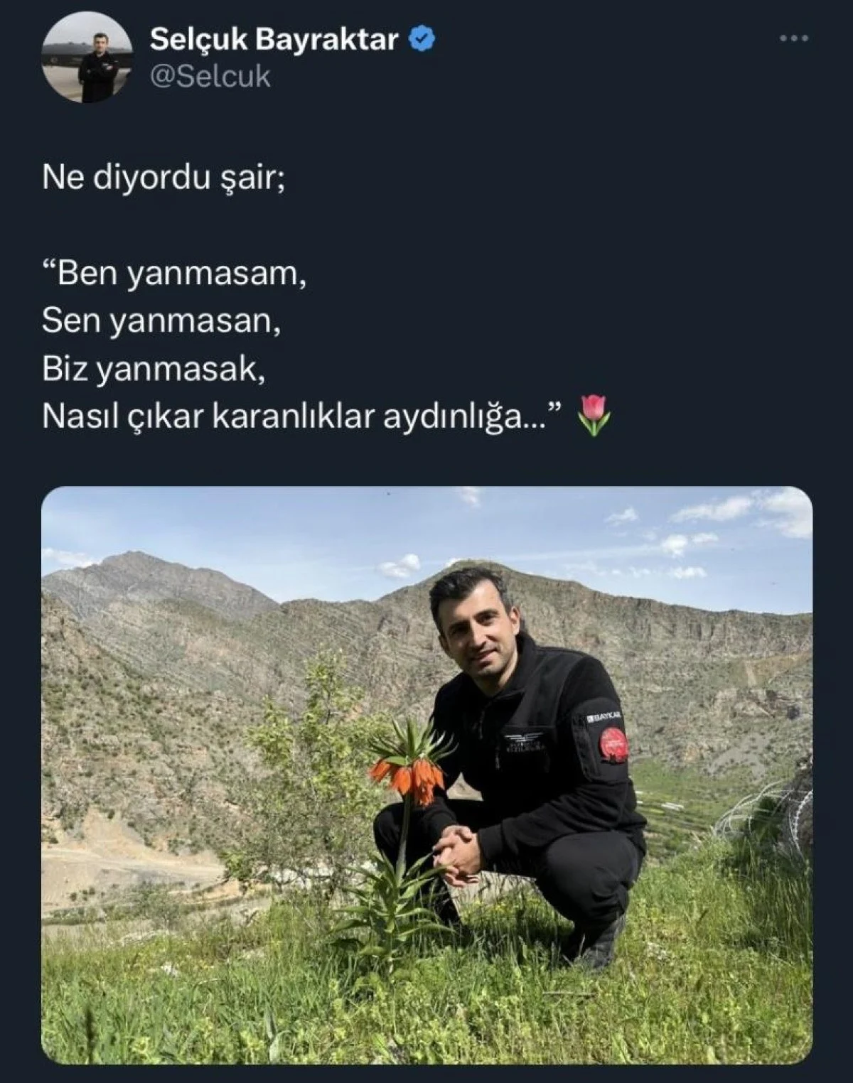 Terörist Başlık