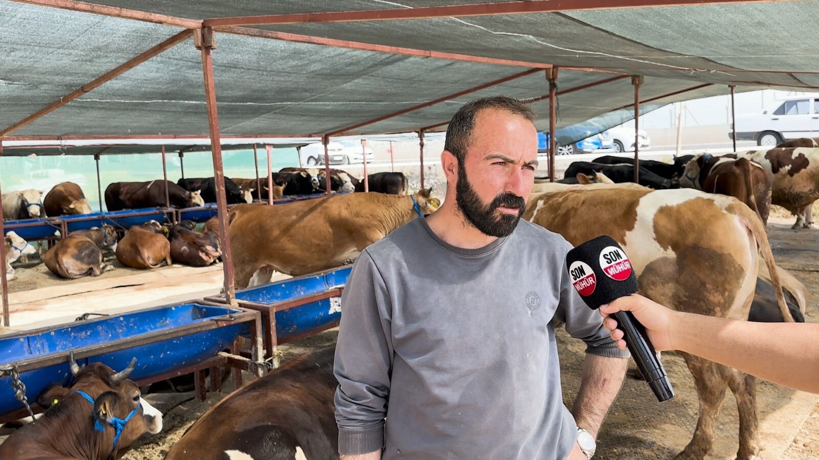 Pazarcıların gözünden kurbanlıklar ve sorunları