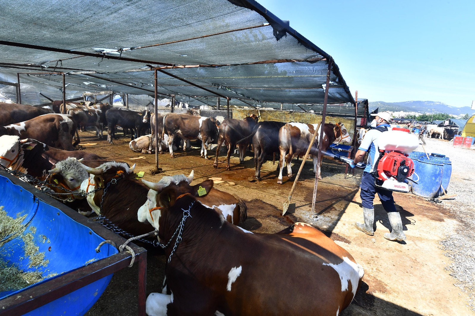 Esnaf da çalışmalardan memnun