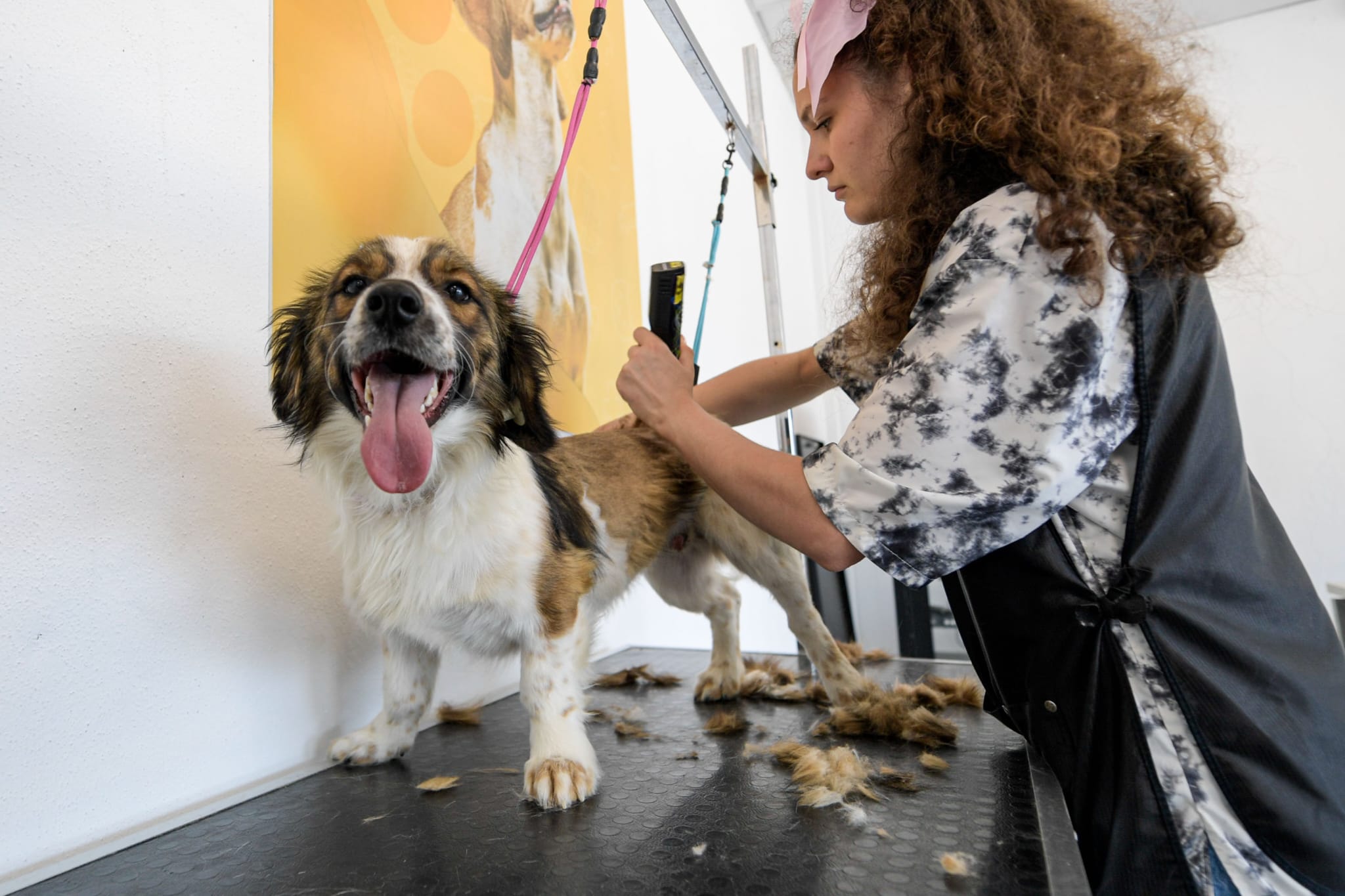 “Türkiye’de ilk”