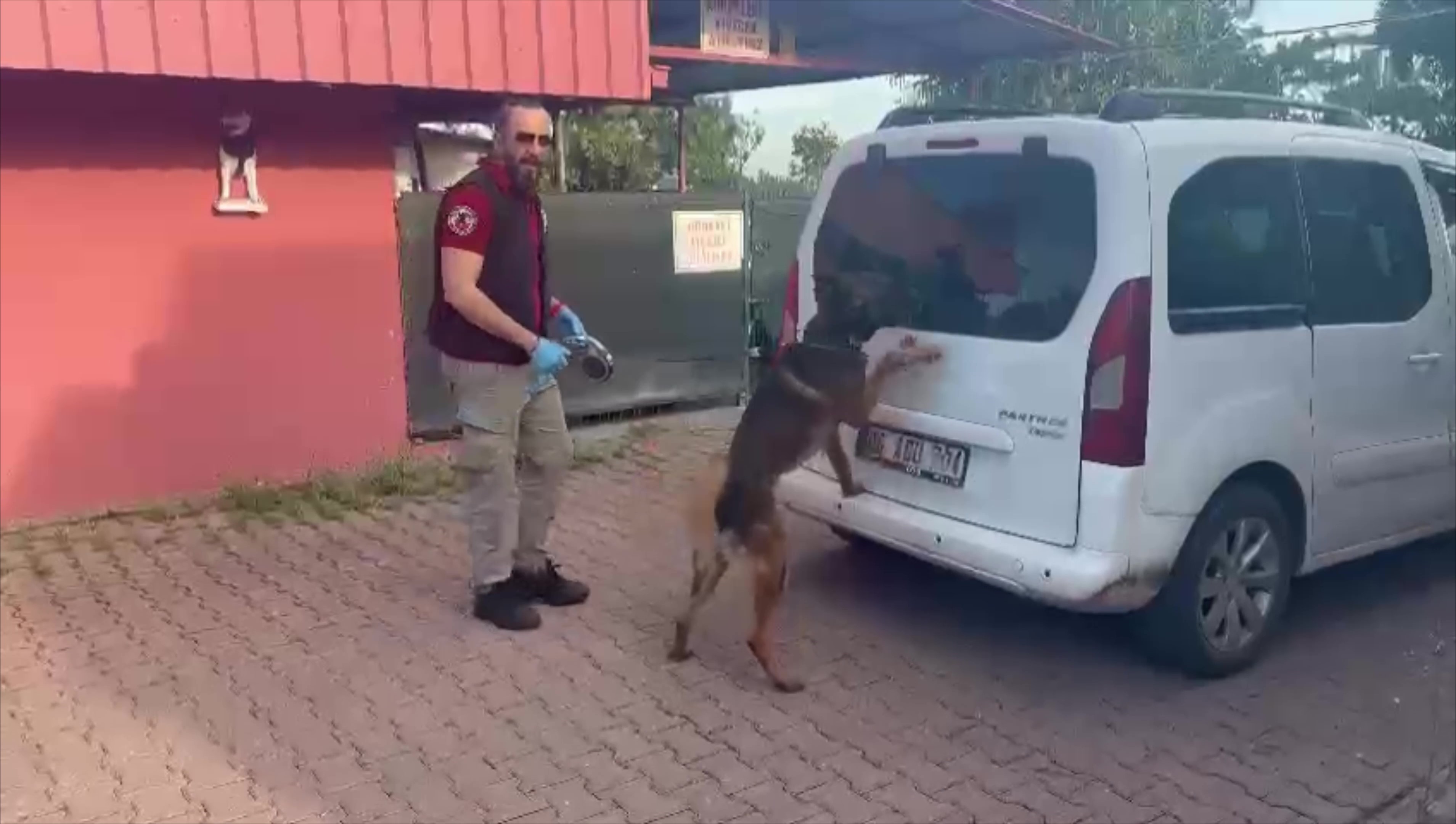 “Kraliçe arı ve bal taşıyoruz diye savunma yaptılar”