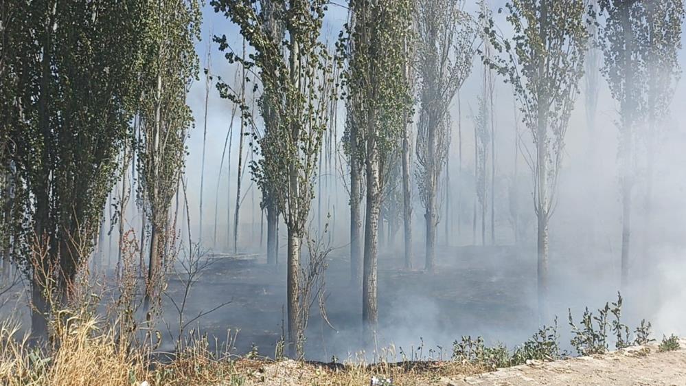 Sivas'ta ağaçlık alanda çıkan yangın paniğe sebep oldu!