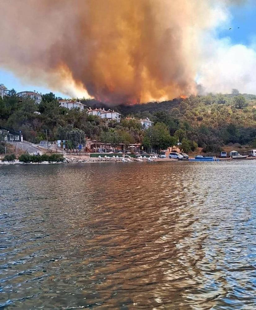 Milas'ta orman yangını panik yarattı: Ekiplerin müdahalesi ile alevlerin önü kesildi!