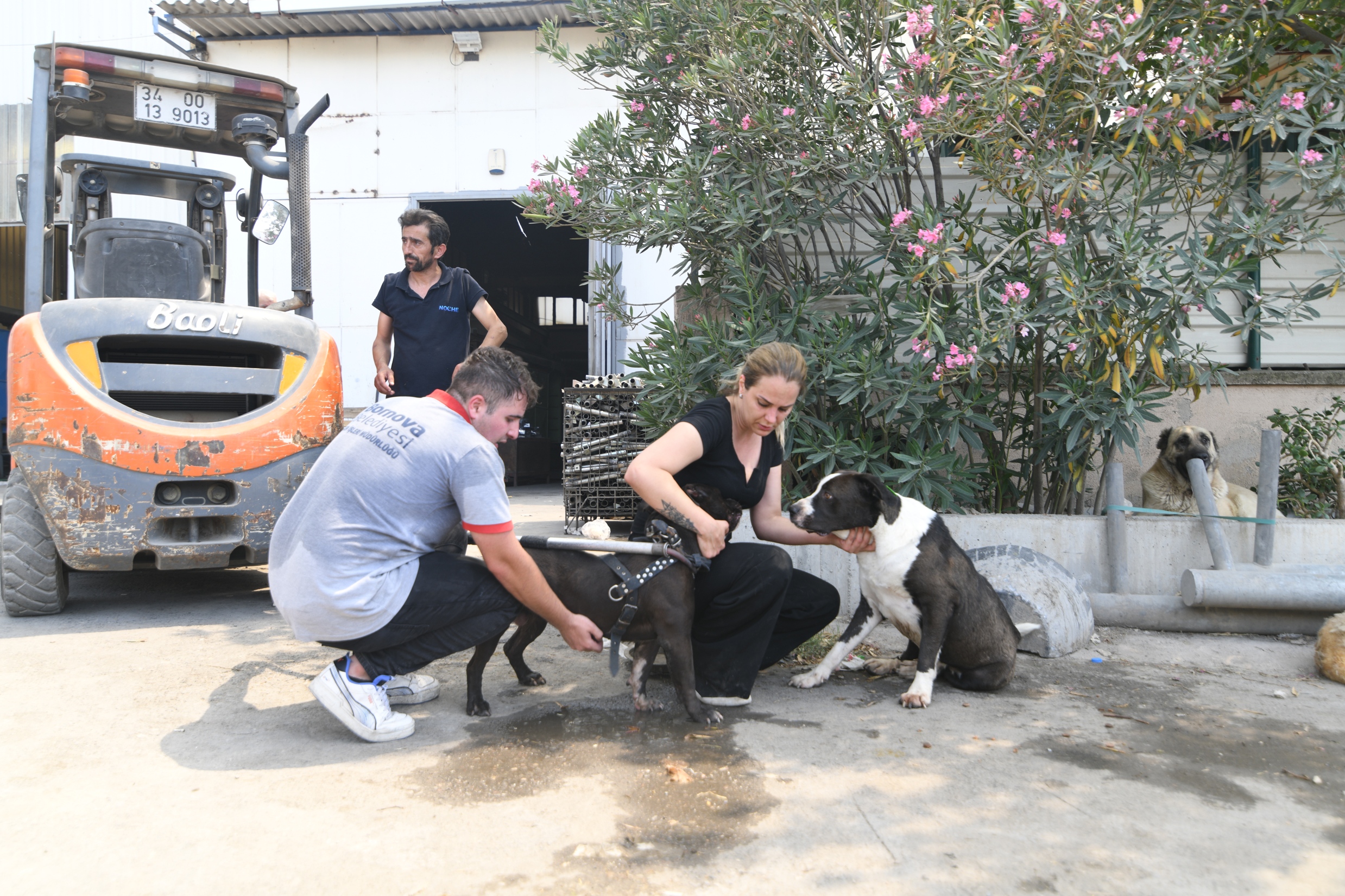 Can dostlarımıza zarar gelmedi