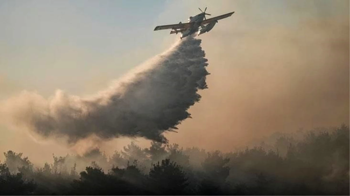 Çanakkale Eceabat Orman Yangını