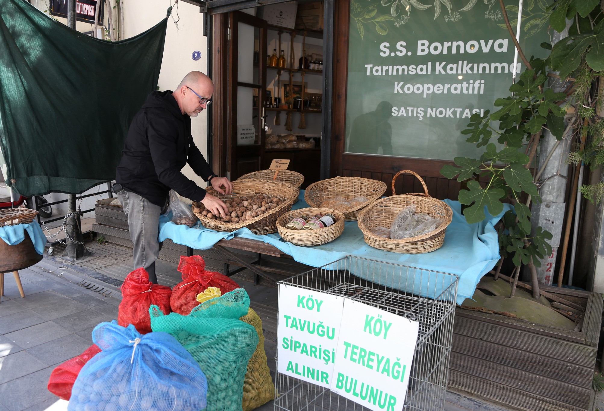 Kooperatif aracılığıyla satılacak