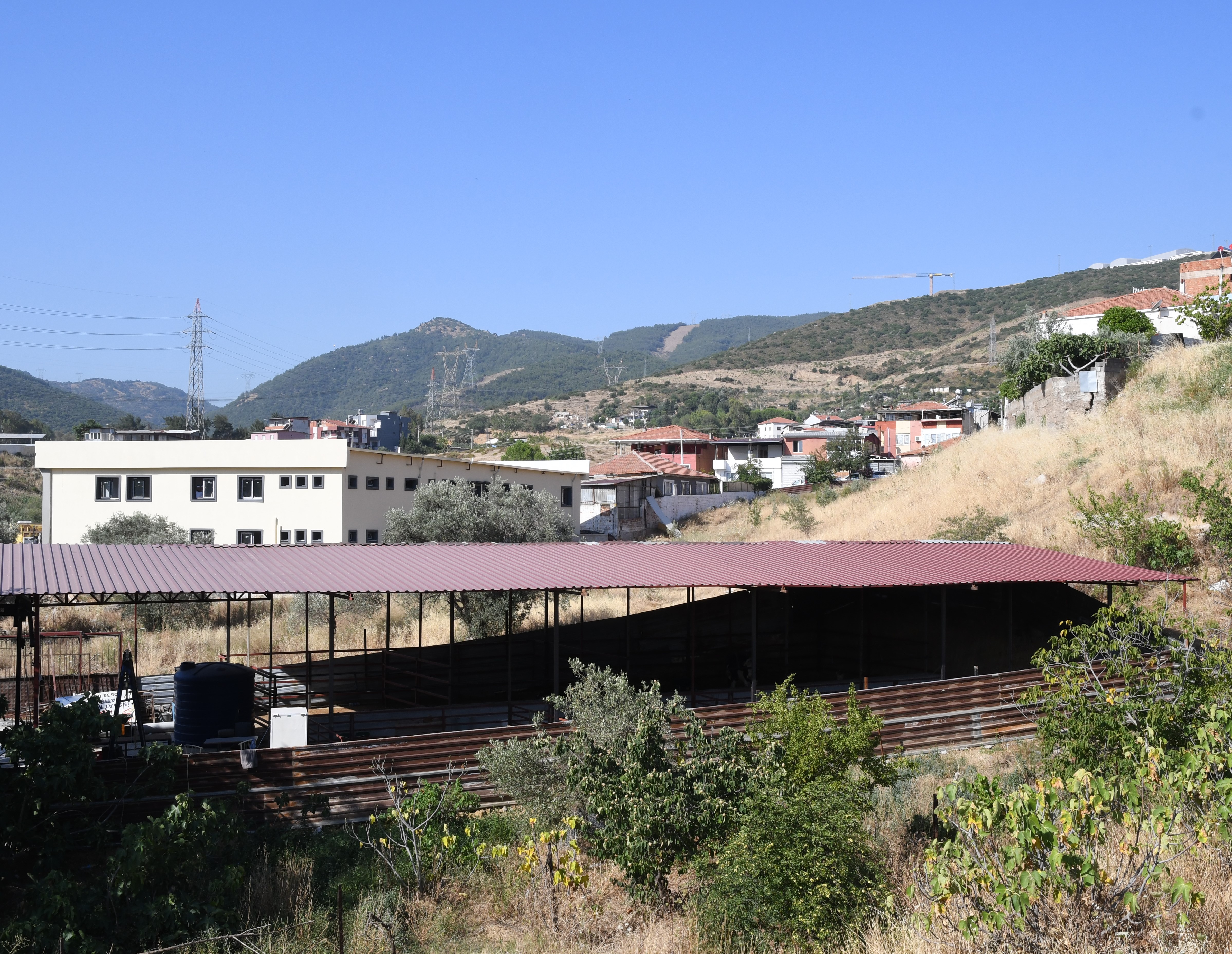 "Bu alan ağaçlandırılıp, çocuk oyun parkı yapılacak"