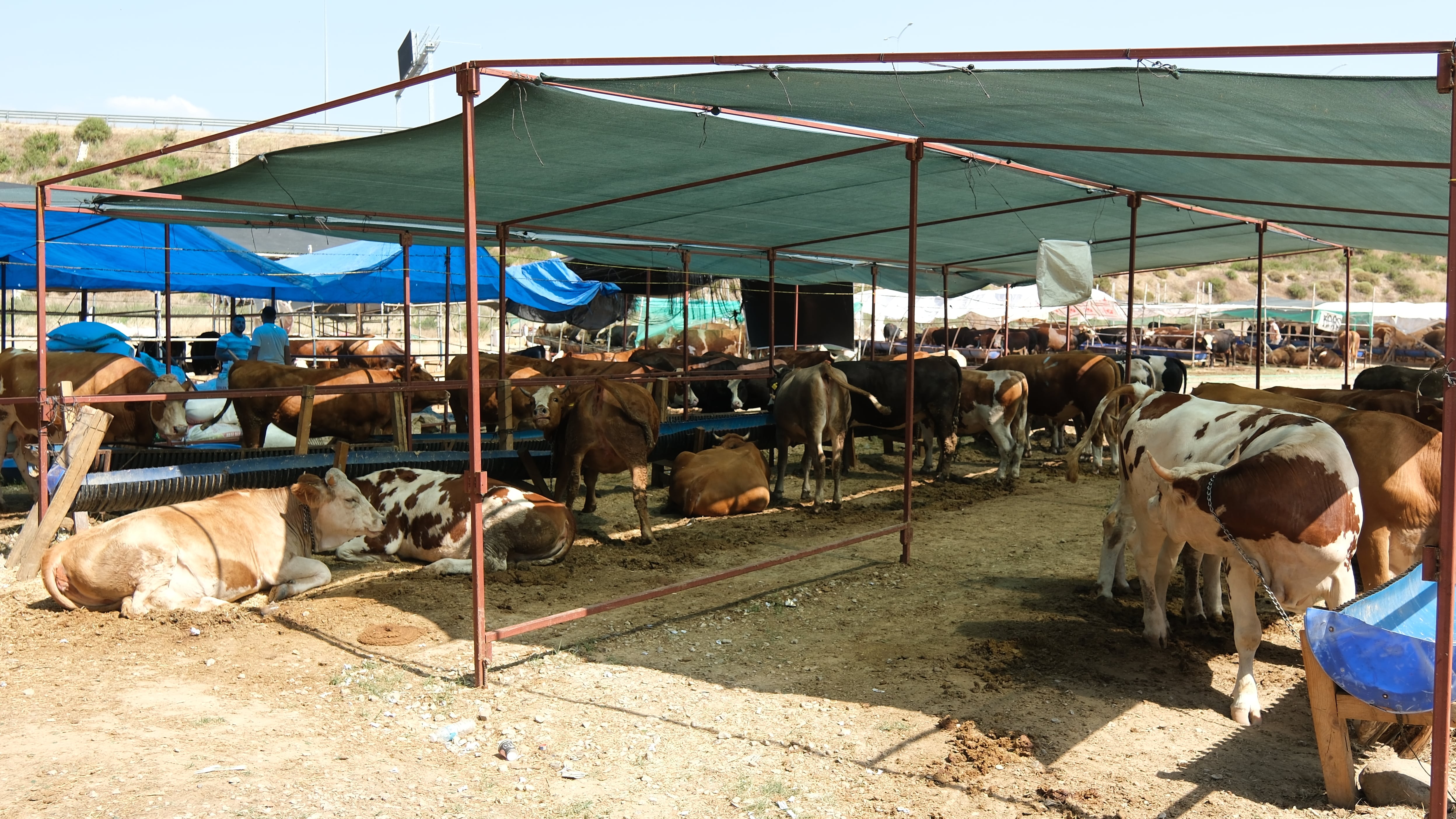 Sahte paraya karşı uyarı