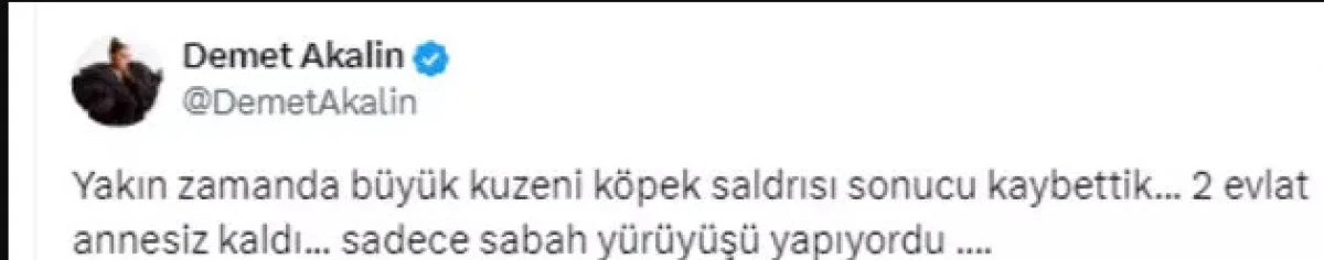 Demet Akalın Paylaşımı