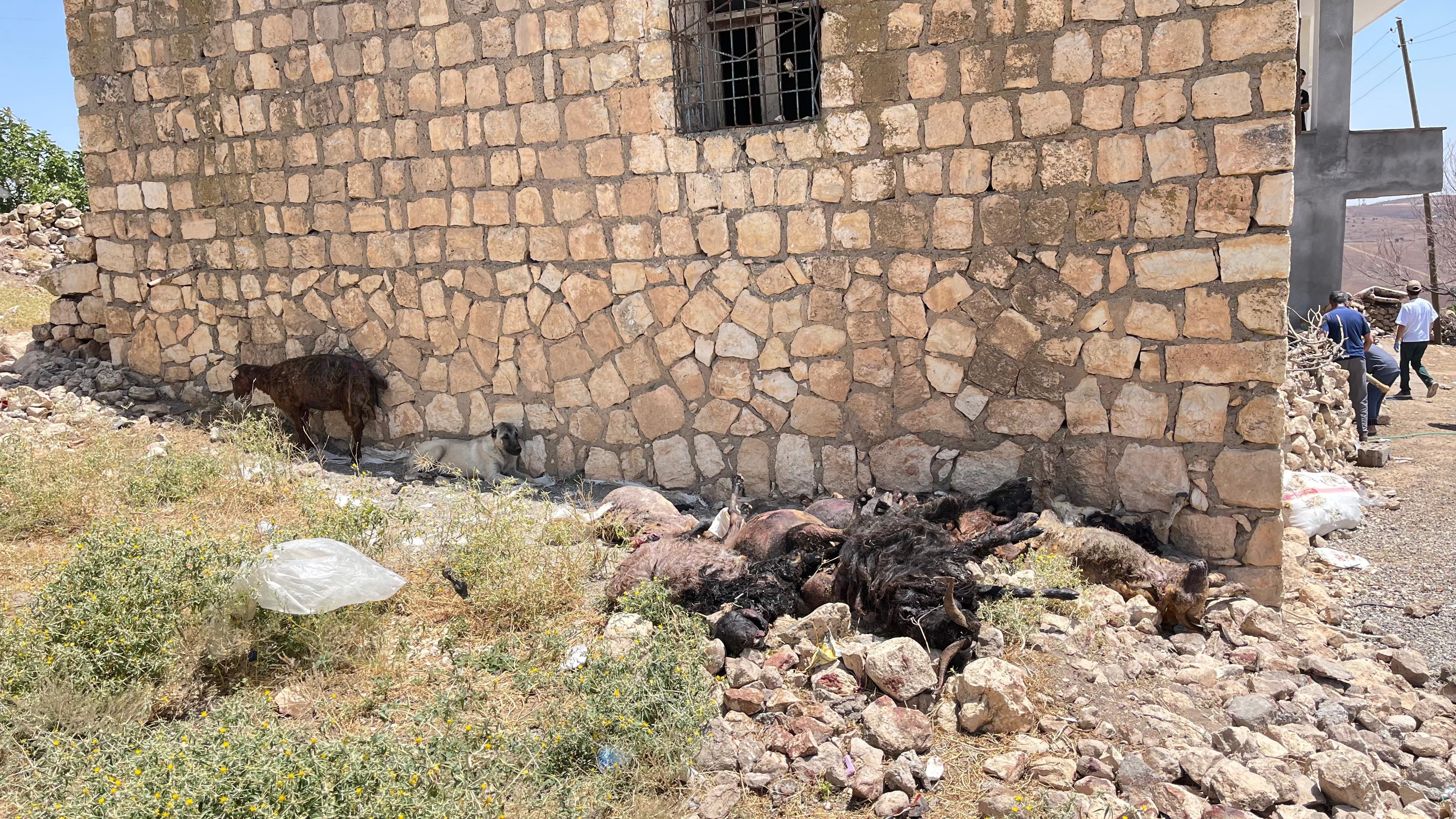 Diyarbakır Ve Mardin'de 5 Kişinin Öldüğü Yangında Kuzenler, Yan Yana Toprağa Verildi (9)