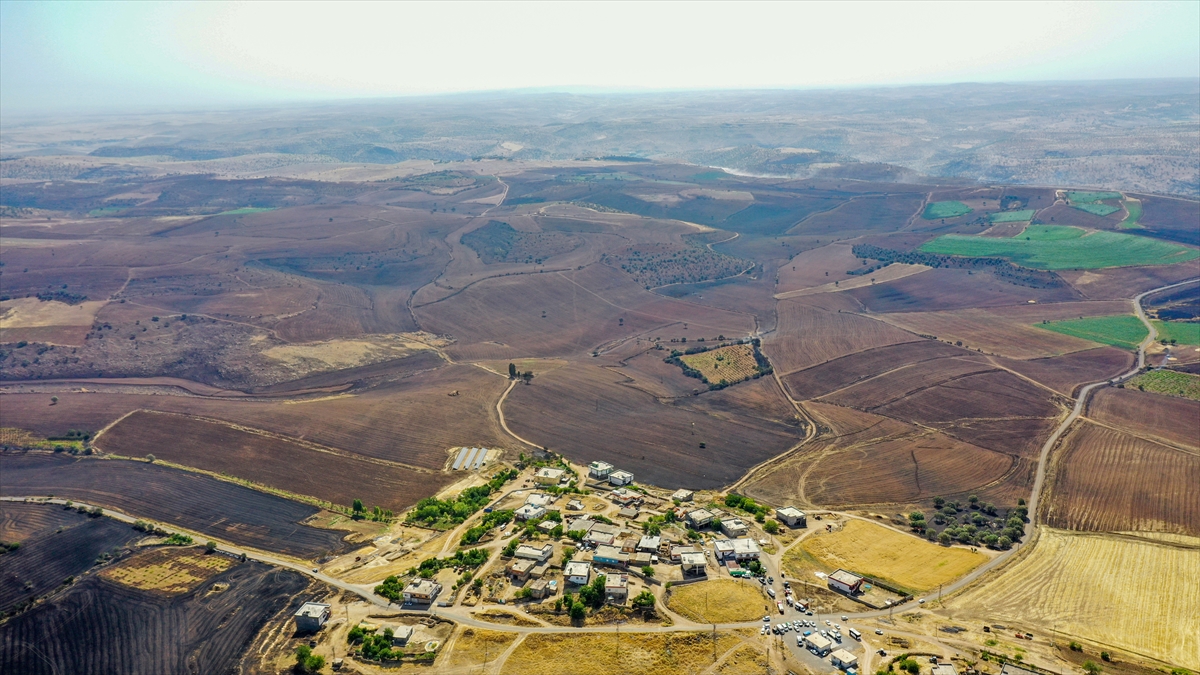 Diyarbakır Ve Mardin'deki Yangında 11 Kişi Öldü 78 Kişi Yaralandı