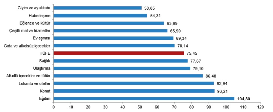 TÜFE ana harcama gruplarına göre yıllık değişim oranları (%), Mayıs 2024