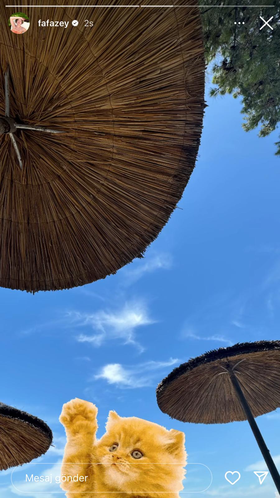 Sosyal medyada paylaşım: