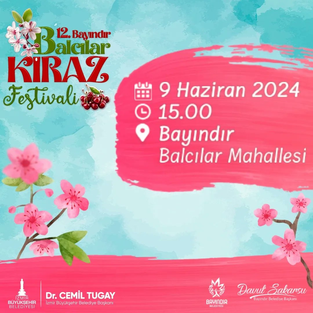 Bayındır'ın kiraz cenneti Balcılar'da festival zamanı! Balcılar Kiraz Festivali başlıyor!