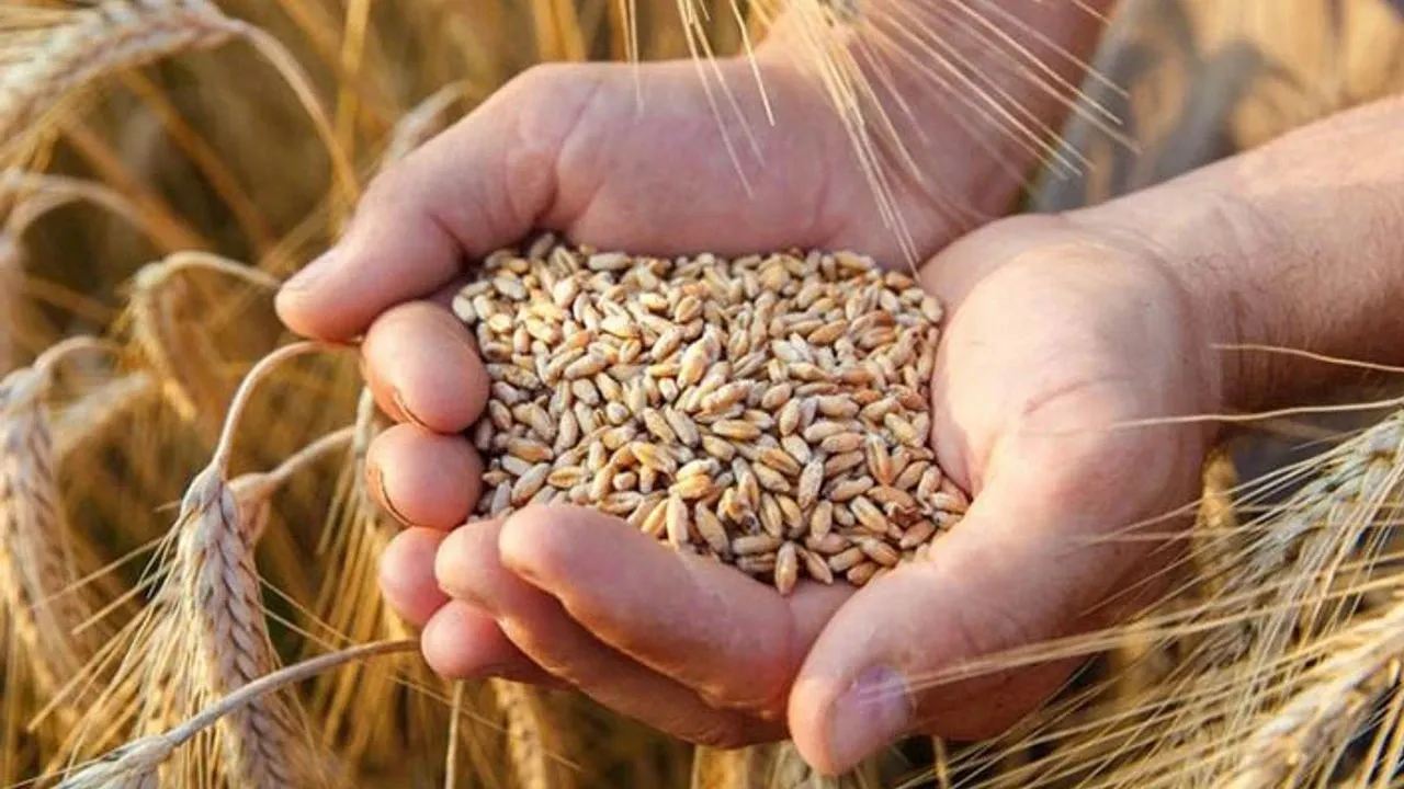 Çiftçi enflasyonun altında eziliyor