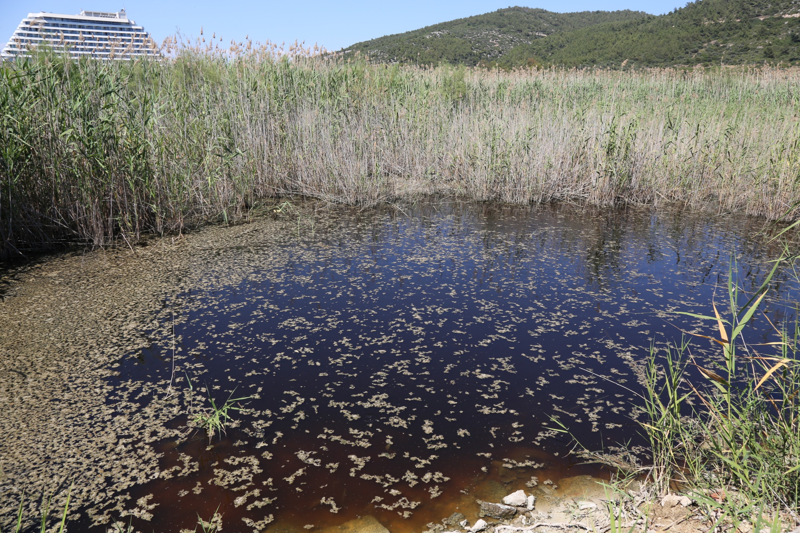 Belirli aralıklarla devam edecek