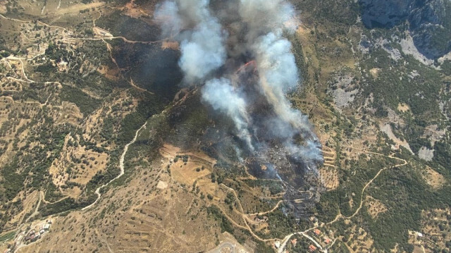 Karaburun Orman Yangını