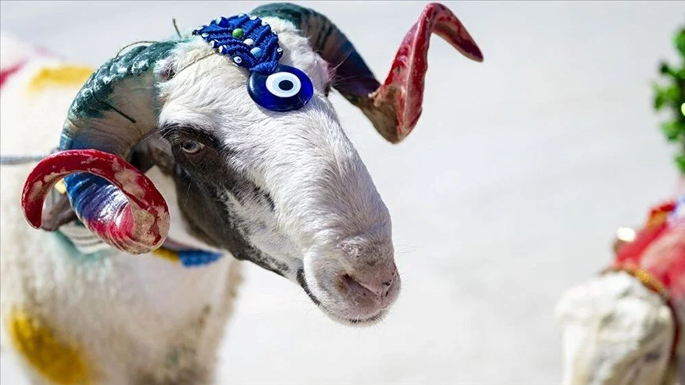 Kurban Bayramı Mesajları 2