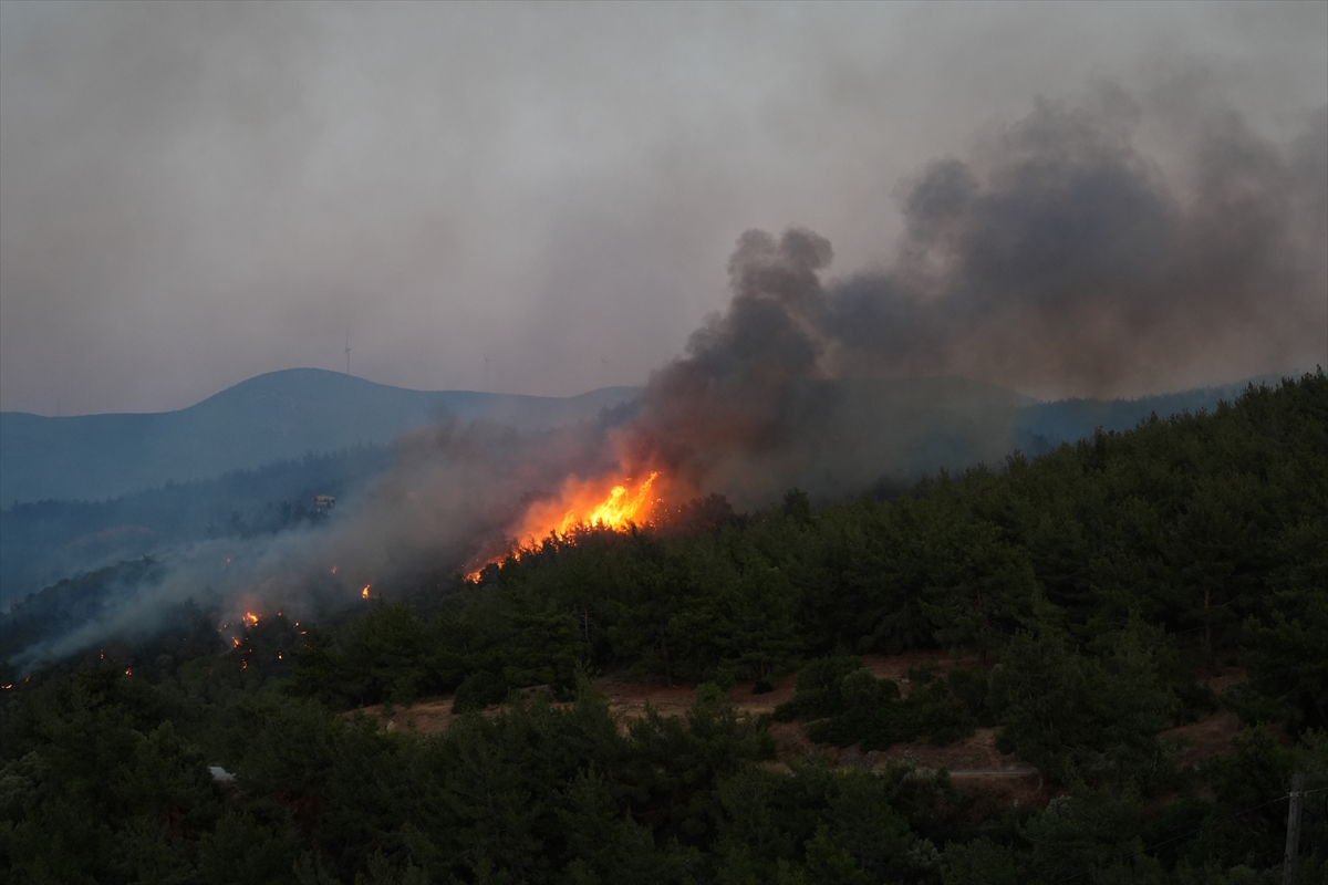 Kuşadası'nda Yangın Durdurulamıyor (6)