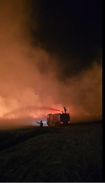 Mardin'de 5 Noktada Anız Yangını (5)