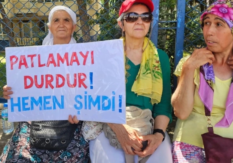 Screenshot 2024 06 15 14 06 49 947 Edit Org.mozilla.firefox