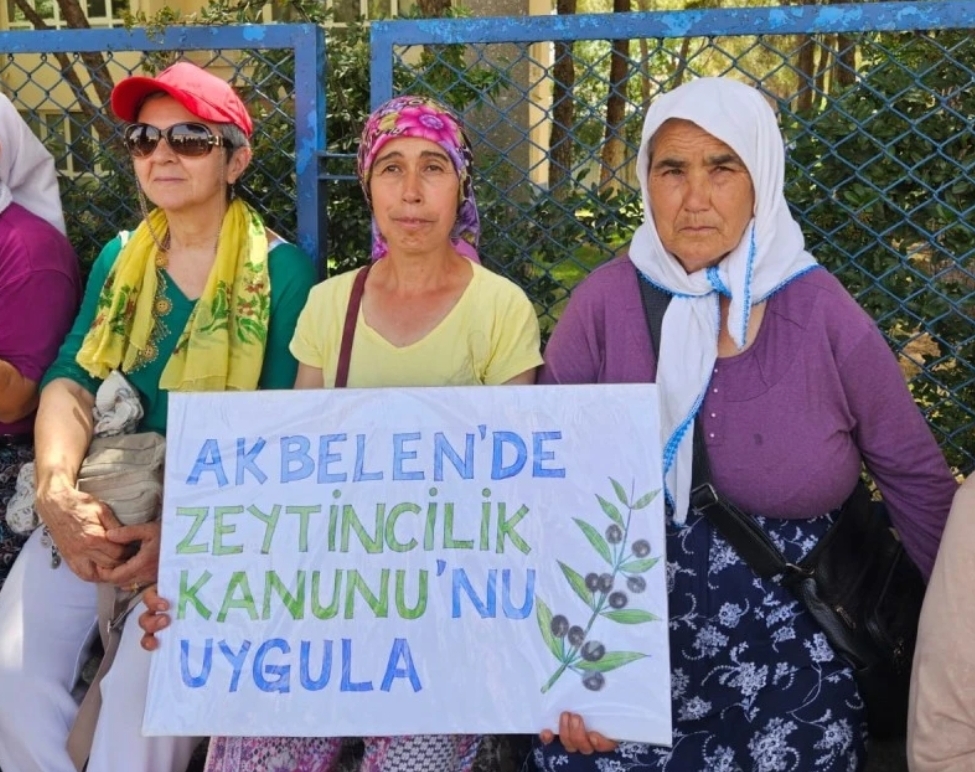 Screenshot 2024 06 15 14 07 06 725 Edit Org.mozilla.firefox