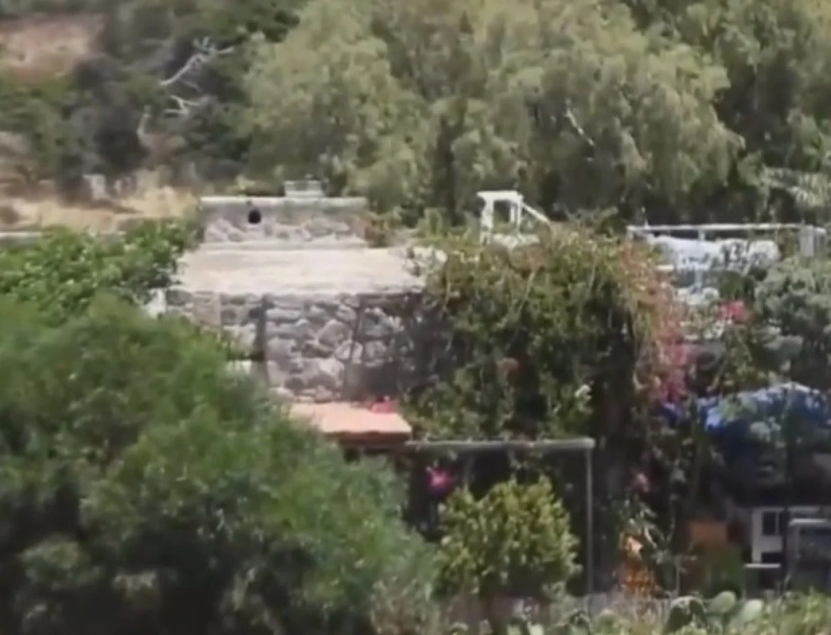 Ancak bu teklif hayvanseverler tarafından tepkiyle karşılandı. Sezen Aksu da bu tepki gösterenlerden biri. 2. Sayfa'dan Umut Ünver'in haberine göre; "Minik Serçe" lakaplı Aksu, Bodrum'da yeni kiraladığı evini başıboş köpeklere açtı.