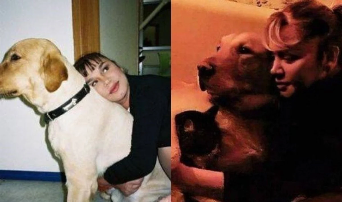 Aksu, Gümüşlük'te başıboş sokak köpeklerine bakmaya başladı. Bir kedisi de bulunan Aksu, Bodrum'da olmadığı zamanları da düşünüp bir de aylık ücretle bakıcı tuttu.