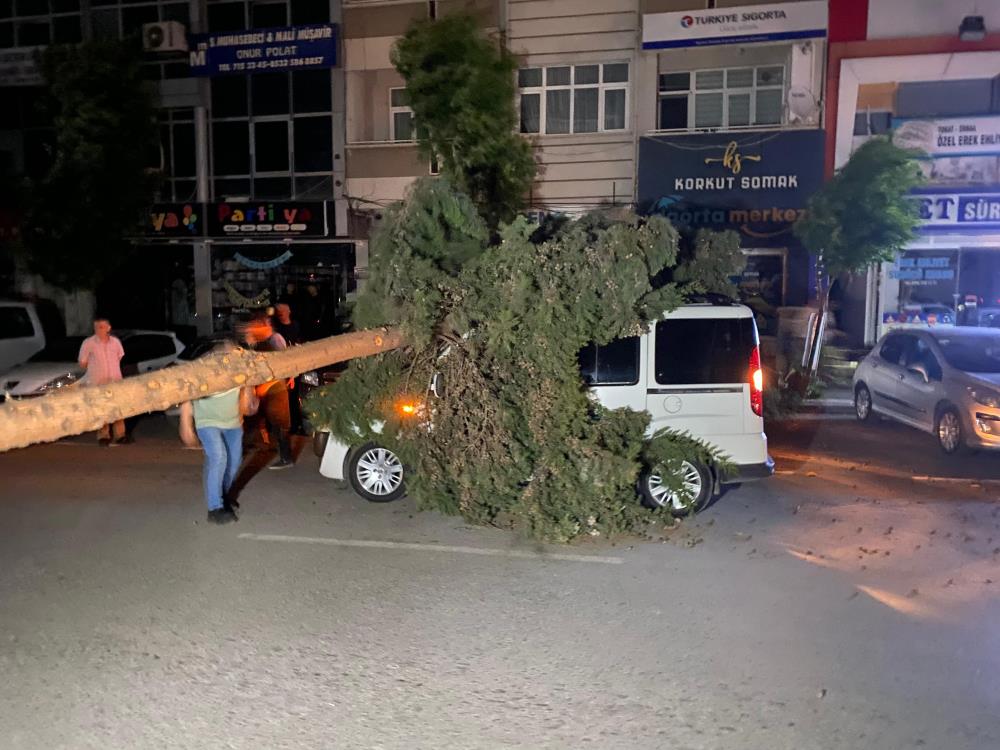 Fırtına nedeniyle birçok ağaç devrilirken, en büyük hasar Kelkit Mahallesi'nde yaşandı.